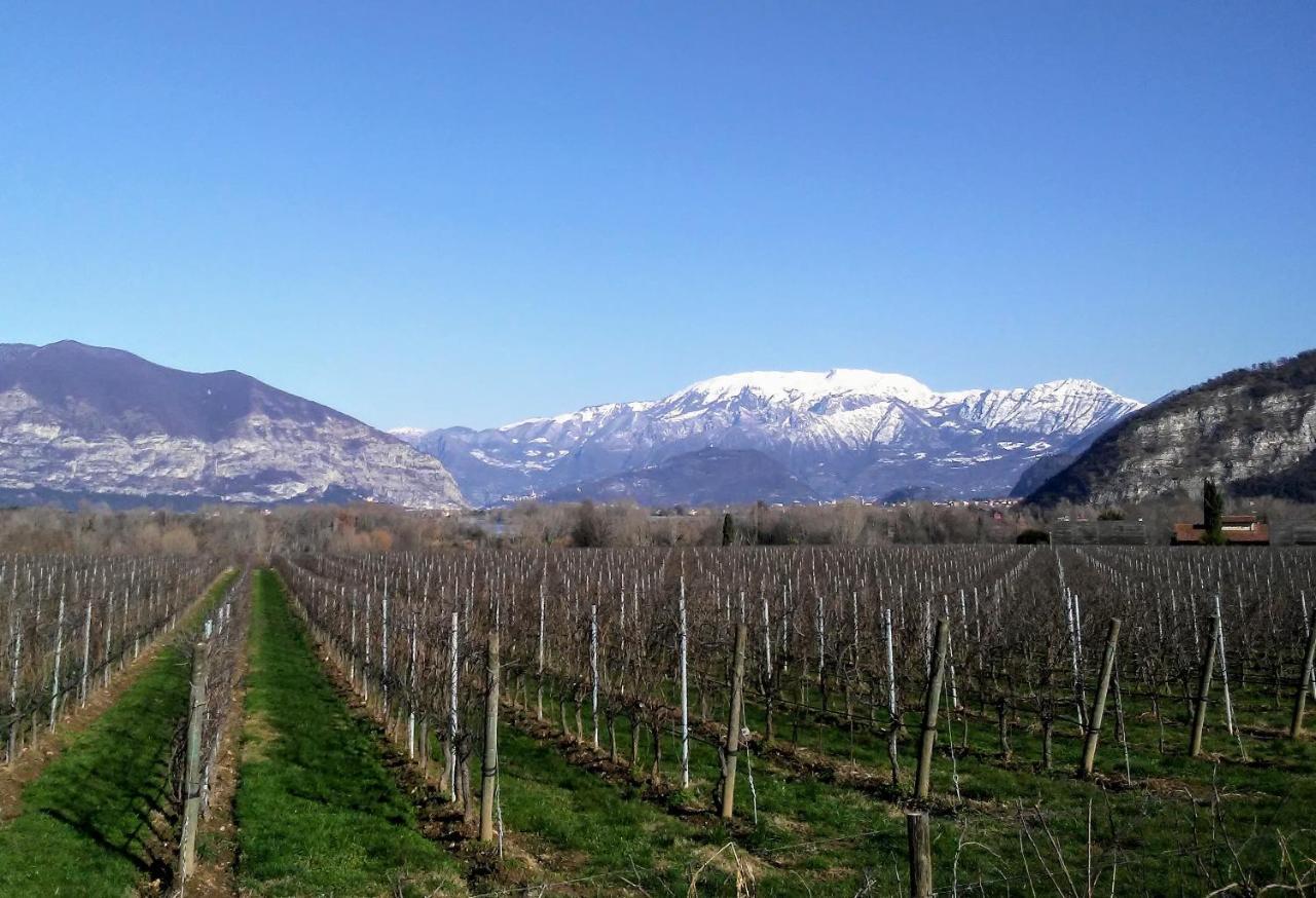 Cascina San Martino Bed and Breakfast Passirano Buitenkant foto