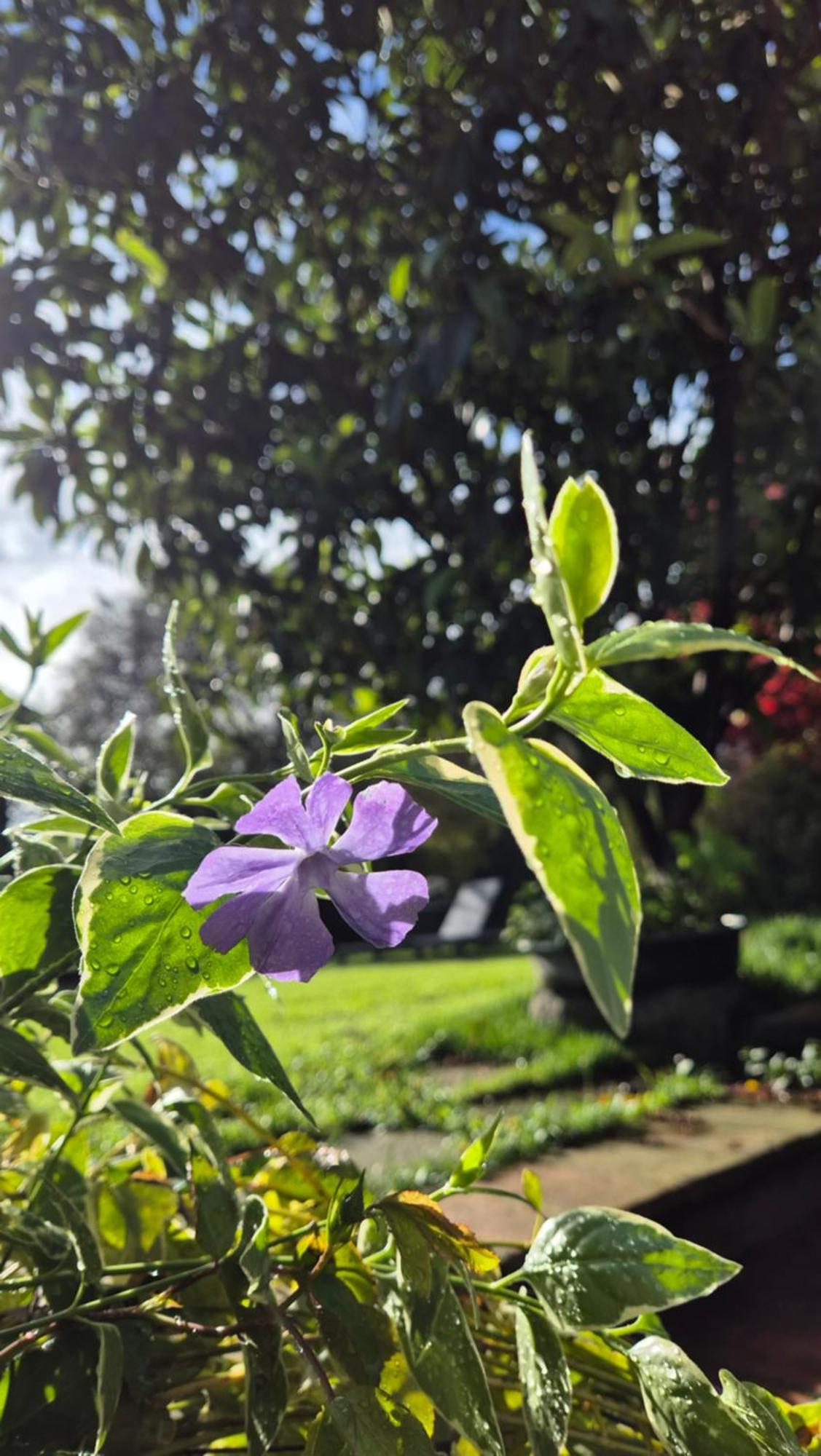 Cascina San Martino Bed and Breakfast Passirano Buitenkant foto